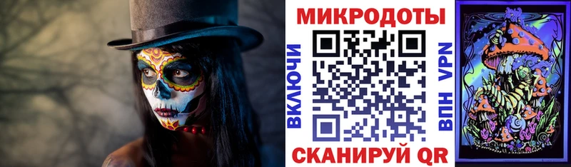 Псилоцибиновые грибы Cubensis  Донской 