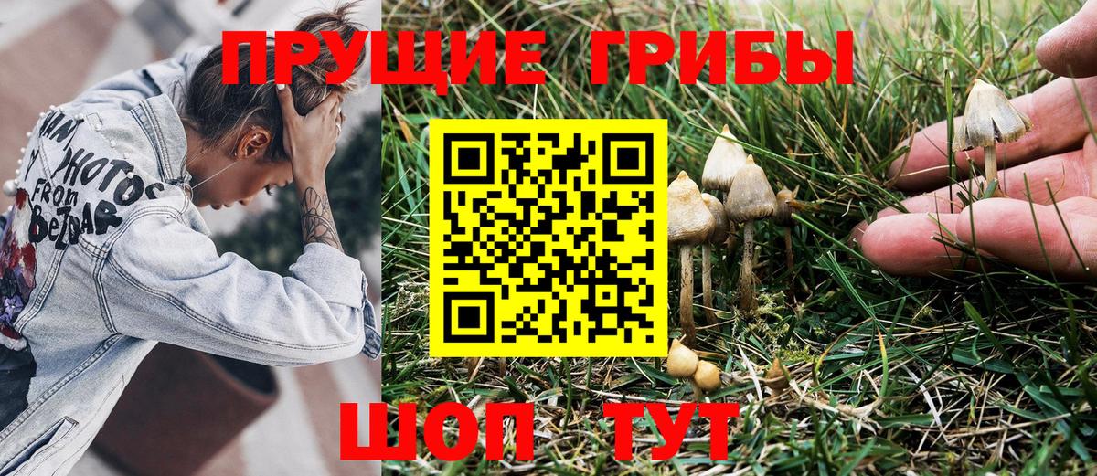 Бошки Шишки Донской