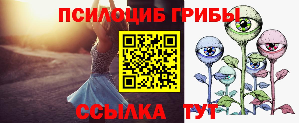 Донской  Галлюциногенные грибы Psilocybe  Вход с VPN 